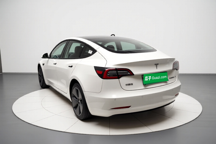Tesla Model 3 2021 #5 Tesla Model 3 2021 car image #5