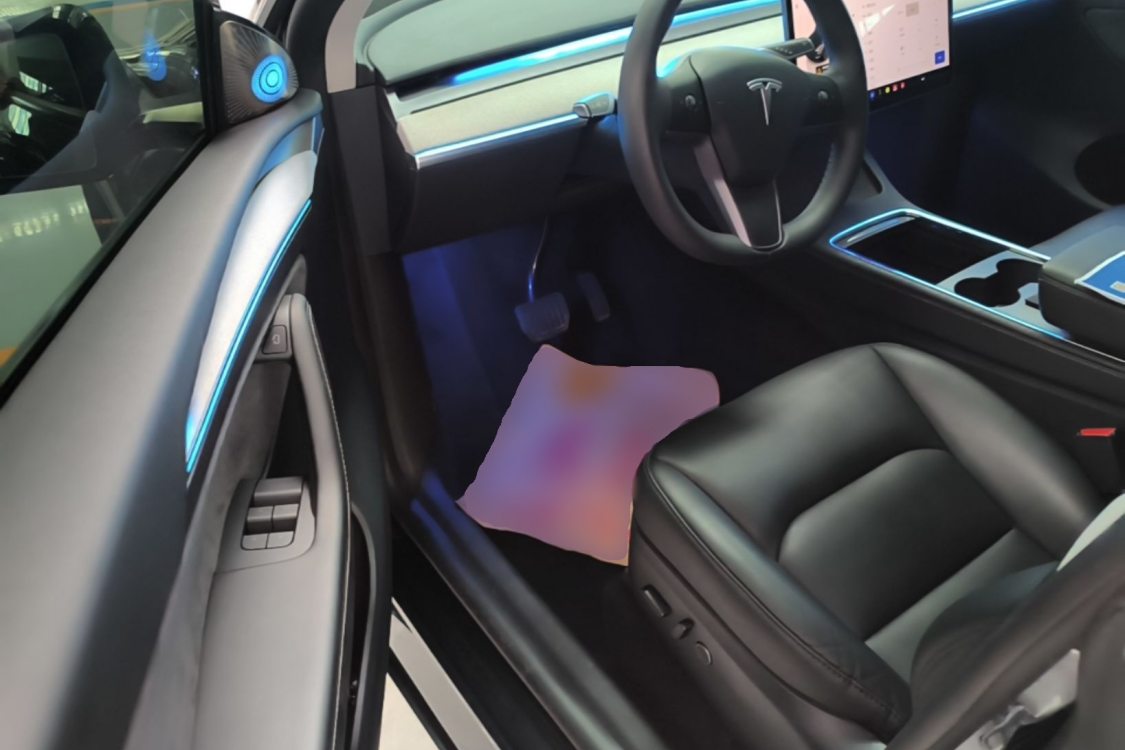 Tesla Model Y 2024 car image #12