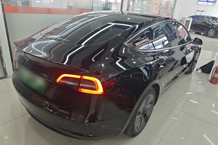 Tesla Model 3 2021 #5 Tesla Model 3 2021 car image #5