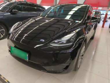 Tesla Model Y 2023 Tesla Model Y 2023 car image