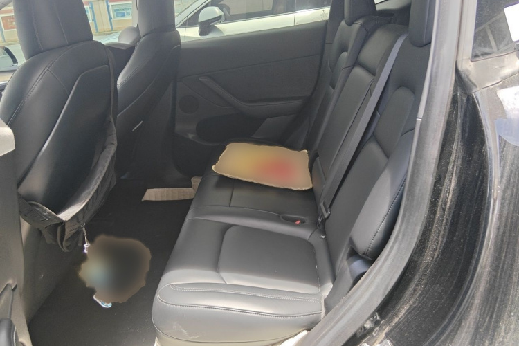 Tesla Model Y 2022 car image #14