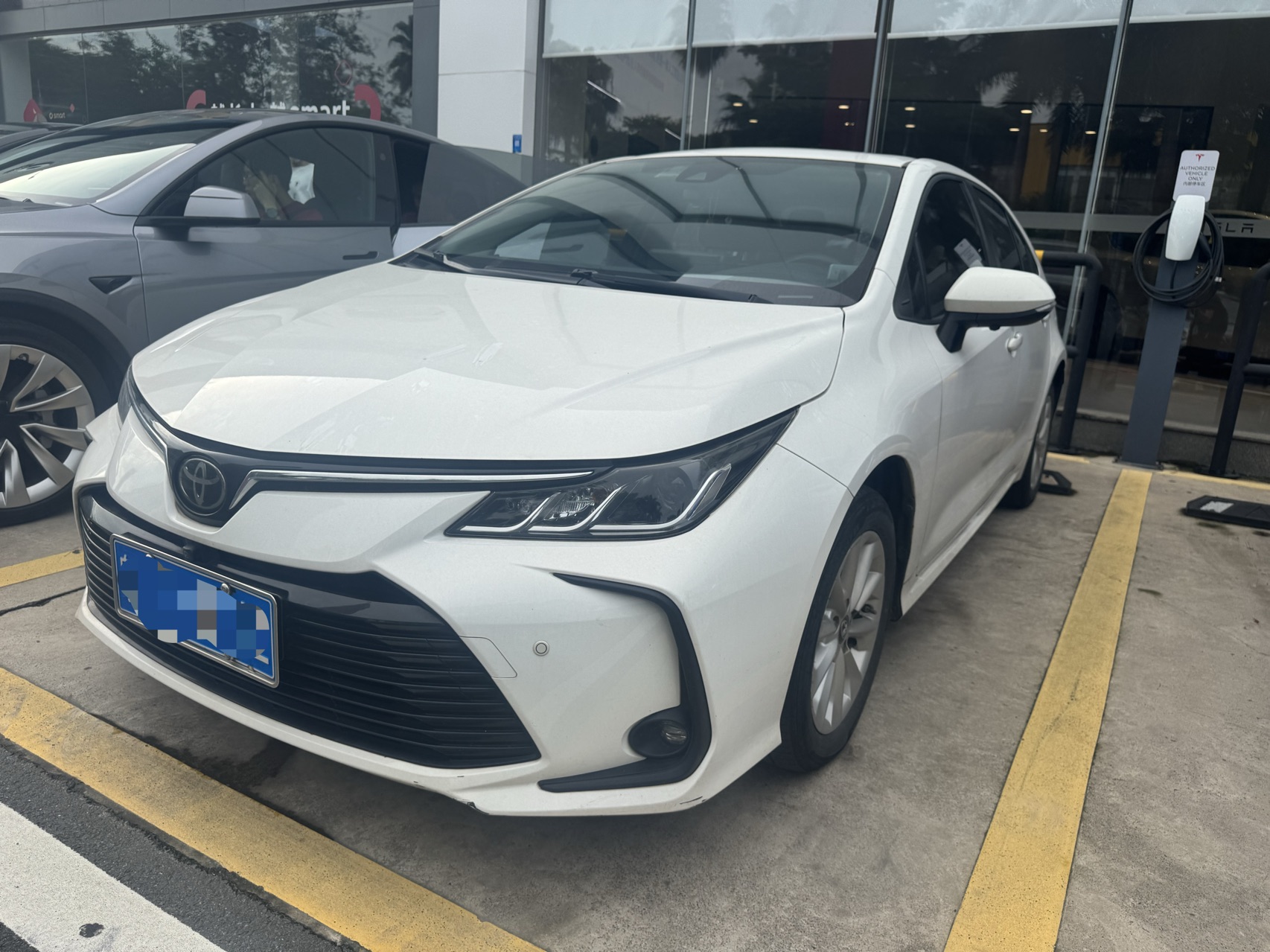Toyota Corolla 2020 Toyota Corolla 2020 car image