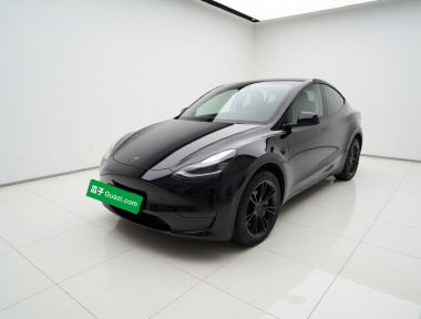 Tesla Model Y 2023 car image 
