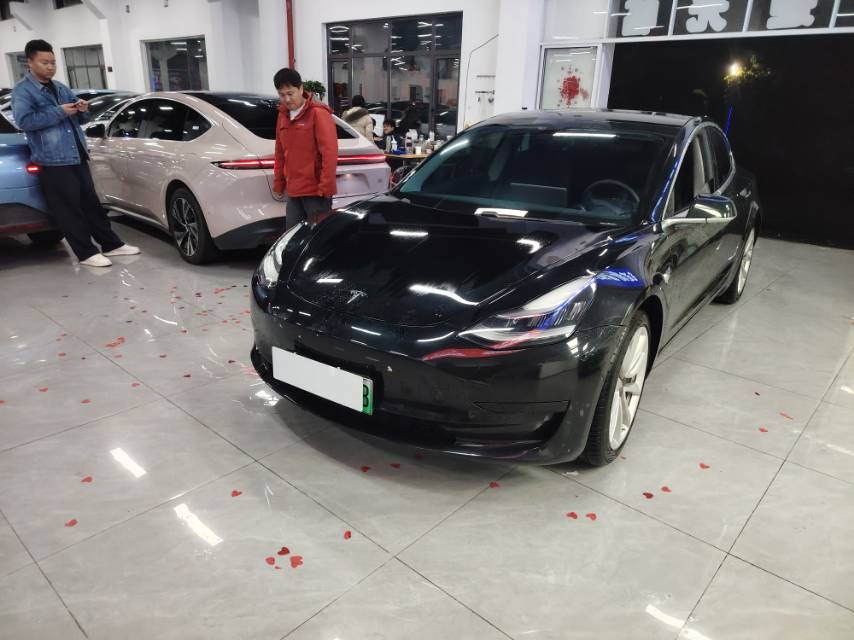 Tesla Model 3 2020 Tesla Model 3 2020 car image