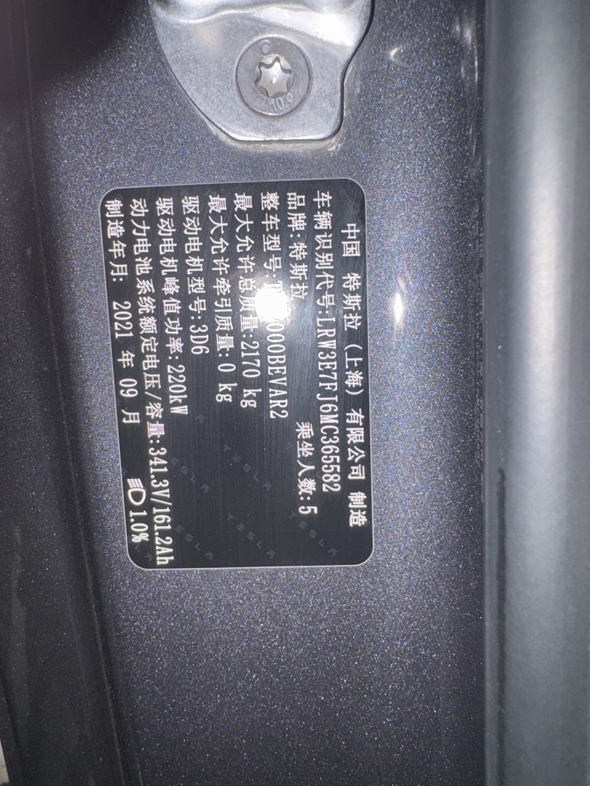 Tesla Model 3 2021 car image #6