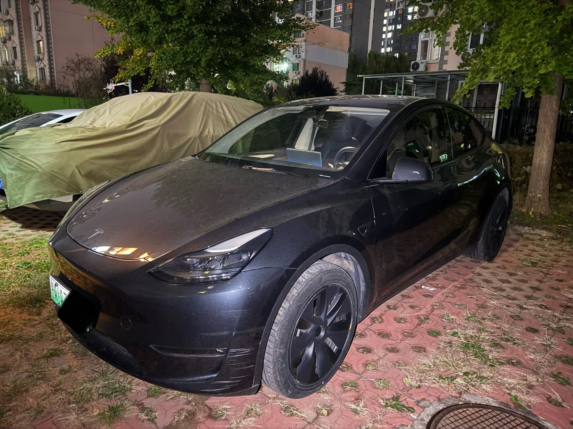 Tesla Model Y 2024 car image 
