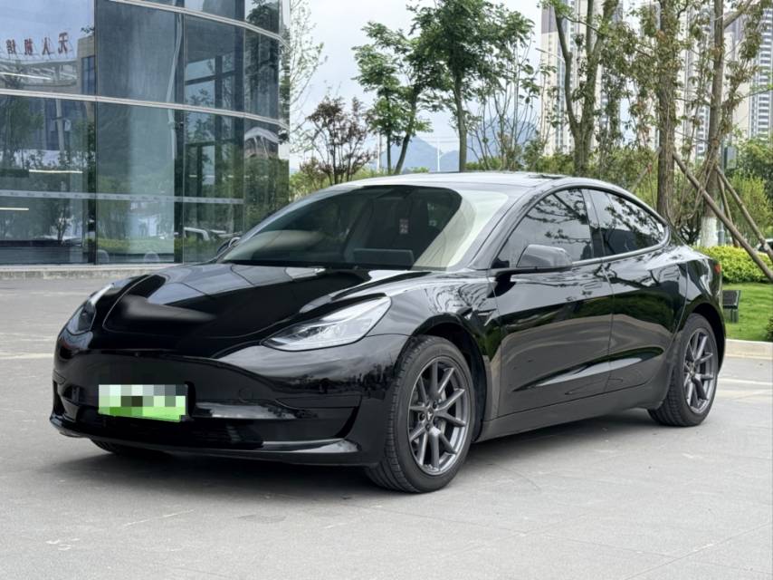 Tesla Model 3 2023 Tesla Model 3 2023 car image