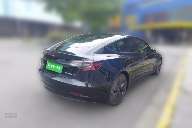 Tesla Model 3 2021 car image #7