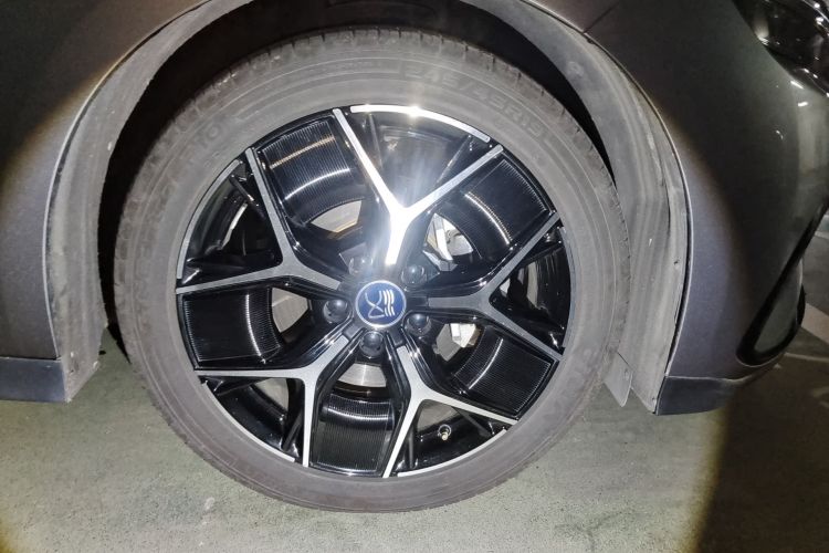 BYD Han 2024 car image #9