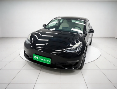 Tesla Model 3 2023 immagine di auto 