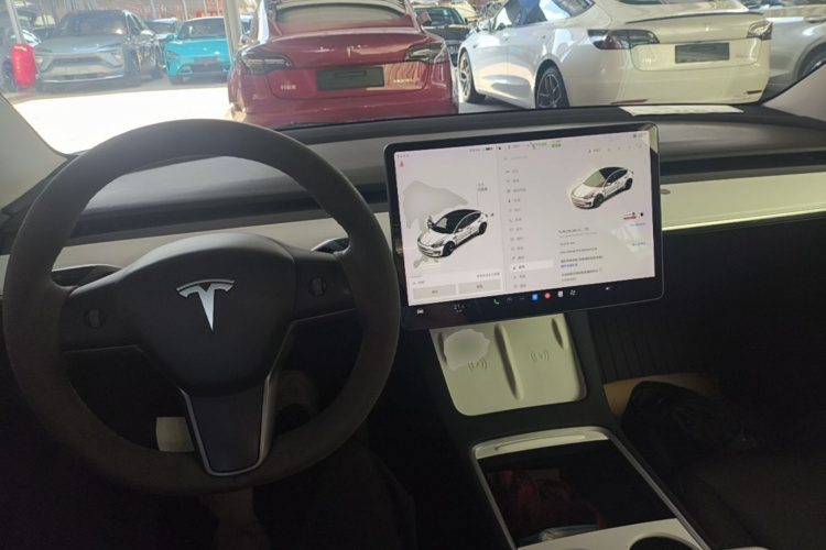 Tesla Model 3 2021 car image #11