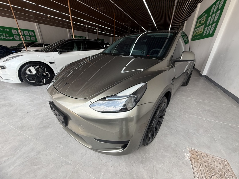 Tesla Model Y 2022 car image 