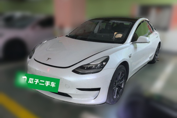 Tesla Model 3 2020 imagem de carro #2