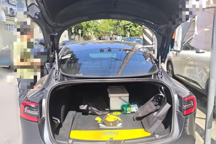 Tesla Model 3 2020 #17 Tesla Model 3 2020 صورة سيارة #17