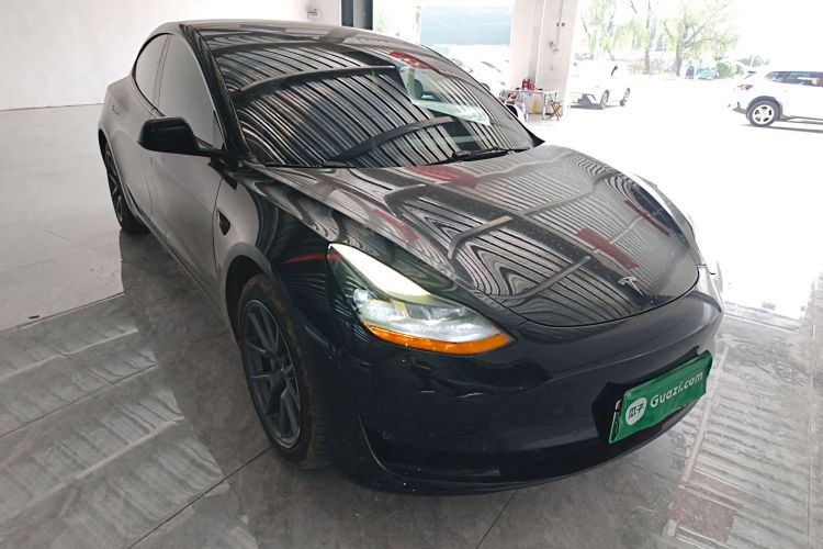 Tesla Model 3 2021 car image #6