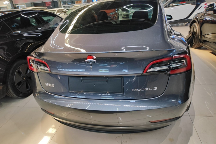 Tesla Model 3 2022 #4 Tesla Model 3 2022 car image #4