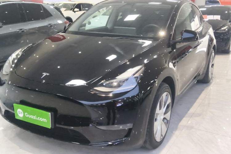 Tesla Model Y 2021 #2 Tesla Model Y 2021 car image #2