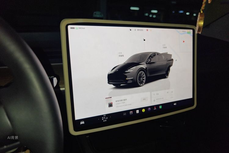Tesla Model Y 2023 #13 Tesla Model Y 2023 car image #13