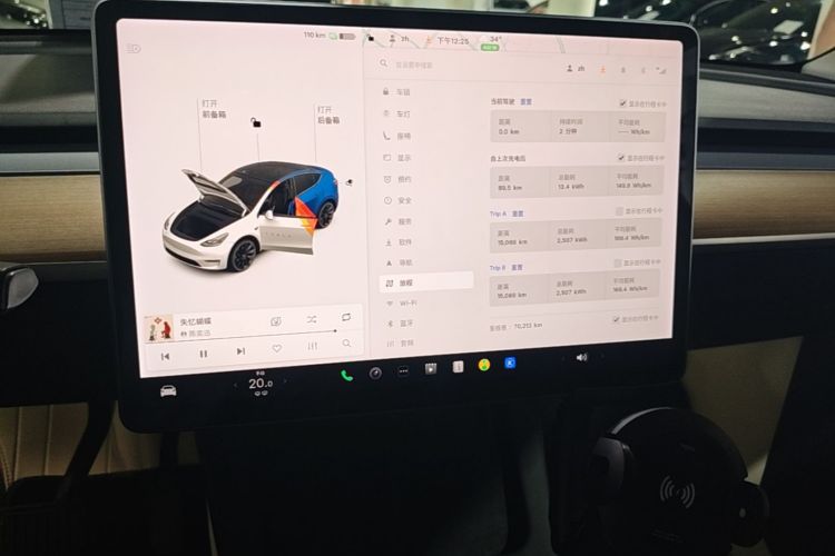 Tesla Model Y 2021 car image #13