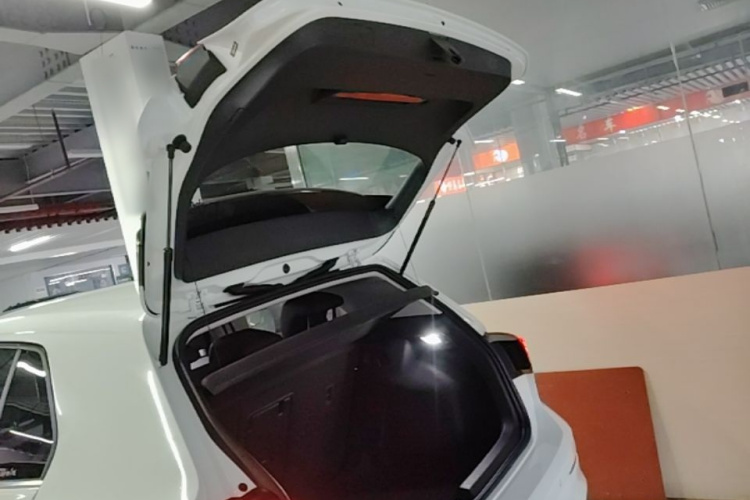 Volkswagen Golf 2021 car image #19