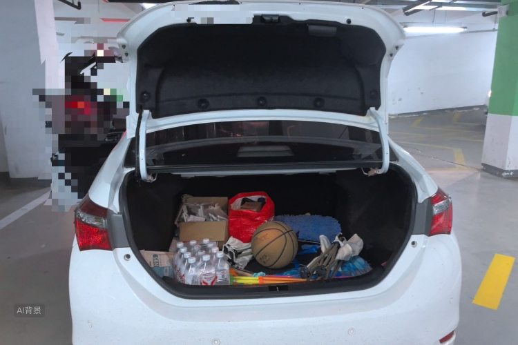 Toyota Corolla 2019 #21 Toyota Corolla 2019 car image #21