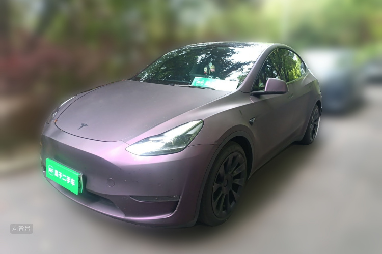 Tesla Model Y 2021 #2 Tesla Model Y 2021 car image #2