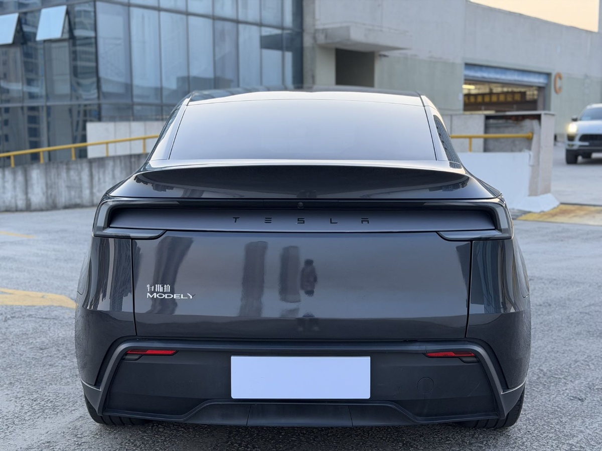 Tesla Model Y 2025 #8 Tesla Model Y 2025 car image #8