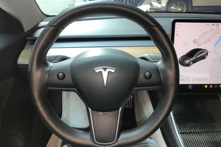 Tesla Model 3 2020 immagine di auto #11