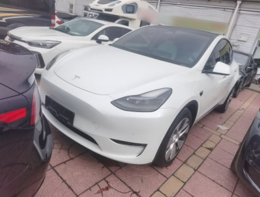 Tesla Model Y 2023 Tesla Model Y 2023 car image