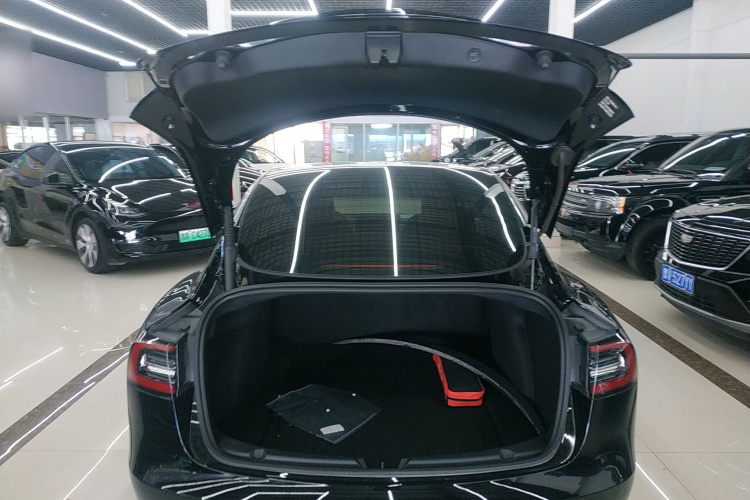 Tesla Model 3 2021 #19 Tesla Model 3 2021 immagine di auto #19