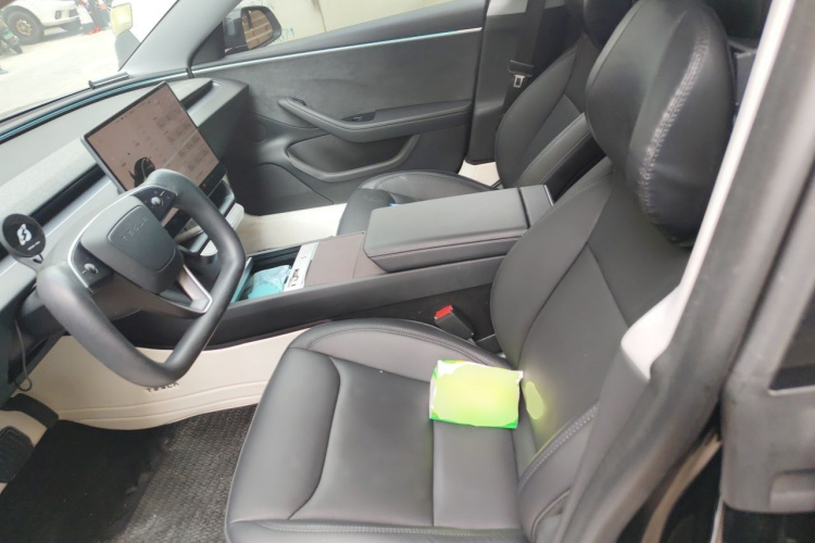 Tesla Model 3 2023 car image #19