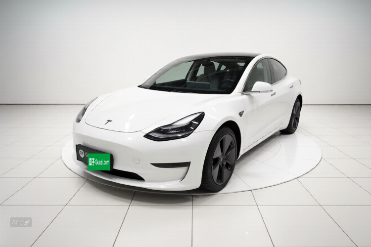 Tesla Model 3 2020 #2 Tesla Model 3 2020 car image #2