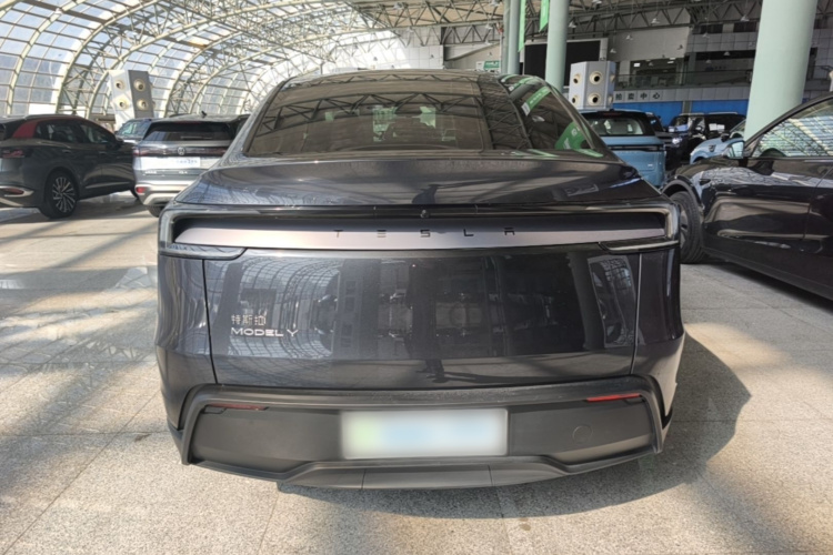 Tesla Model Y 2025 car image #6