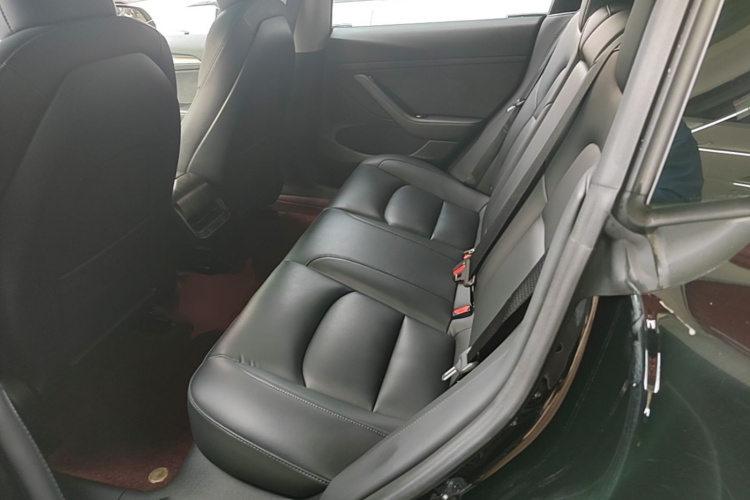 Tesla Model 3 2021 #17 Tesla Model 3 2021 car image #17