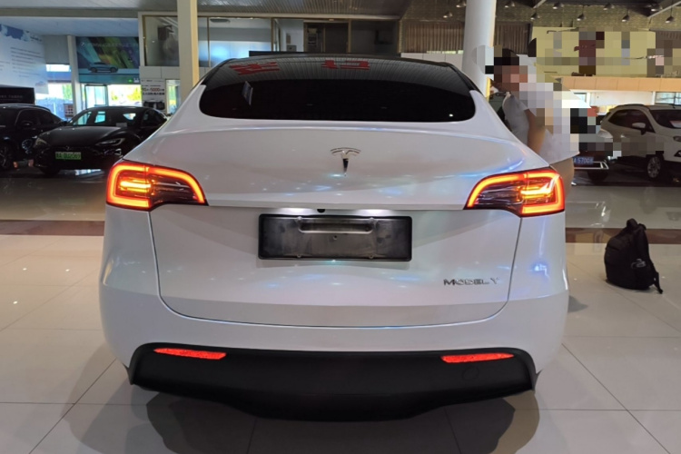Tesla Model Y 2023 #6 Tesla Model Y 2023 car image #6
