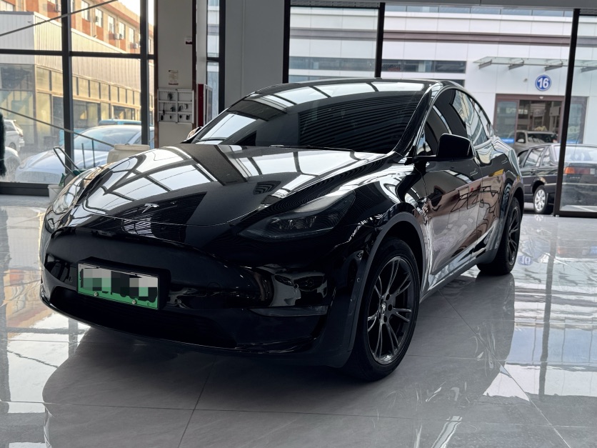 Tesla Model Y 2023 car image 