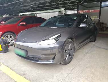 Tesla Model 3 2021 Tesla Model 3 2021 car image