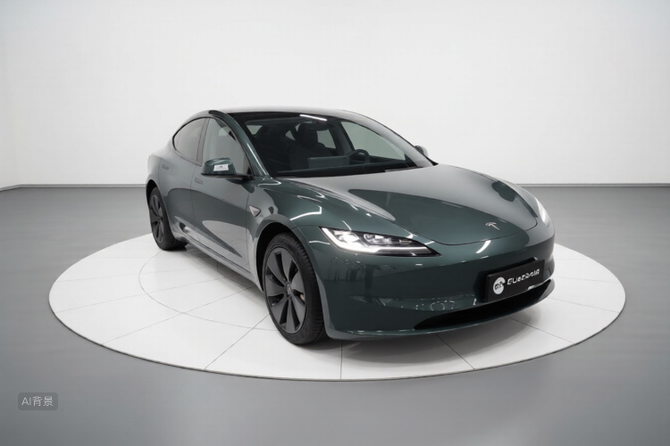 Tesla Model 3 2024 #4 Tesla Model 3 2024 car image #4