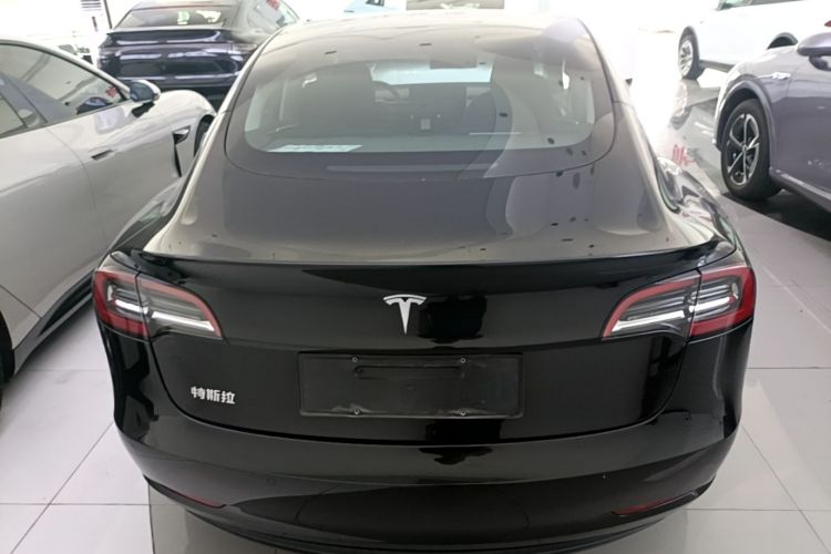 Tesla Model 3 2021 #6 Tesla Model 3 2021 car image #6
