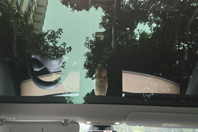 Tesla Model 3 2020 car image #20