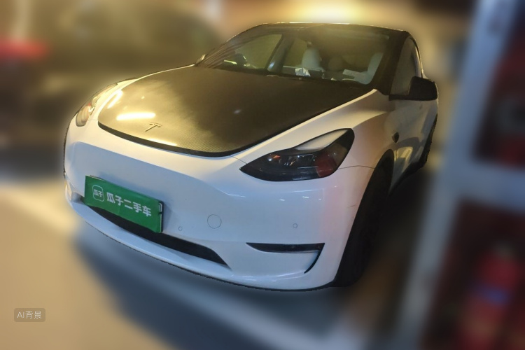 Tesla Model Y 2023 car image #2