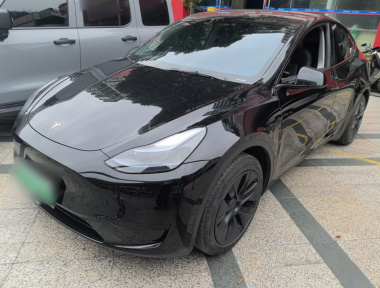 Tesla Model Y 2023 Tesla Model Y 2023 car image