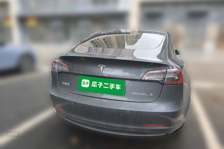 Tesla Model 3 2021 car image #6