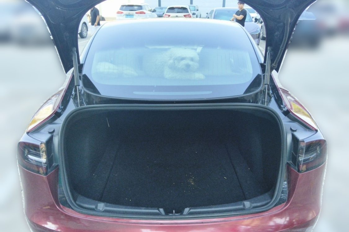 Tesla Model 3 2020 #8 Tesla Model 3 2020 immagine di auto #8