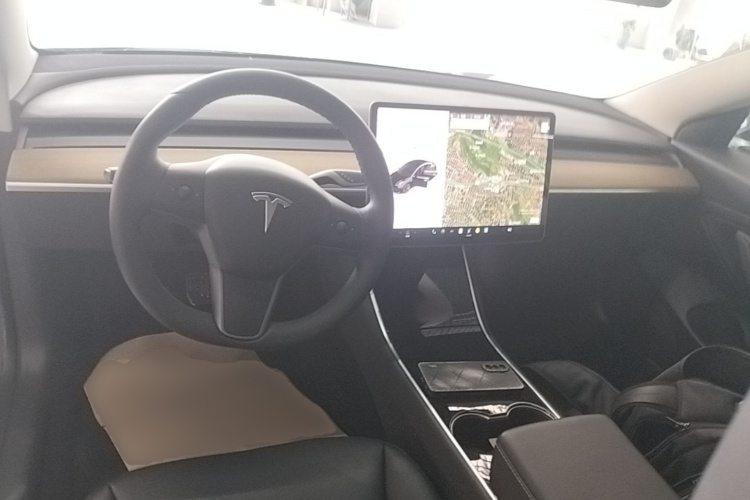 Tesla Model 3 2020 immagine di auto #10