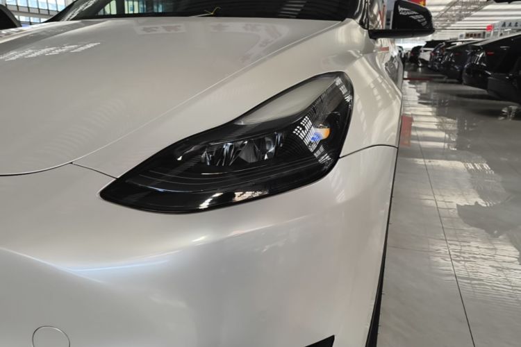 Tesla Model Y 2023 #23 Tesla Model Y 2023 car image #23