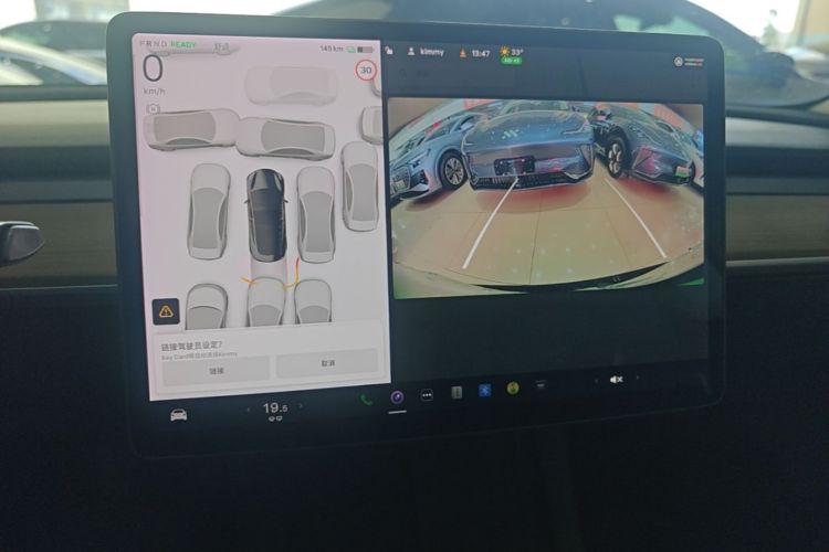 Tesla Model 3 2021 immagine di auto #13