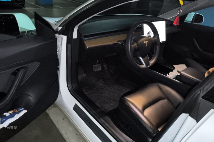 Tesla Model 3 2020 car image #18