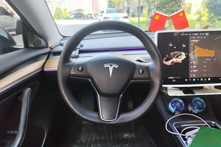 Tesla Model 3 2021 #12 Tesla Model 3 2021 car image #12