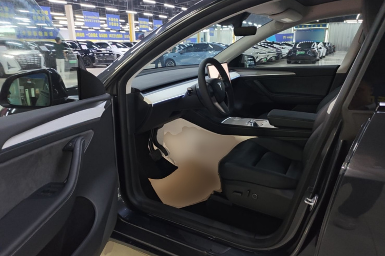Tesla Model Y 2025 car image #12
